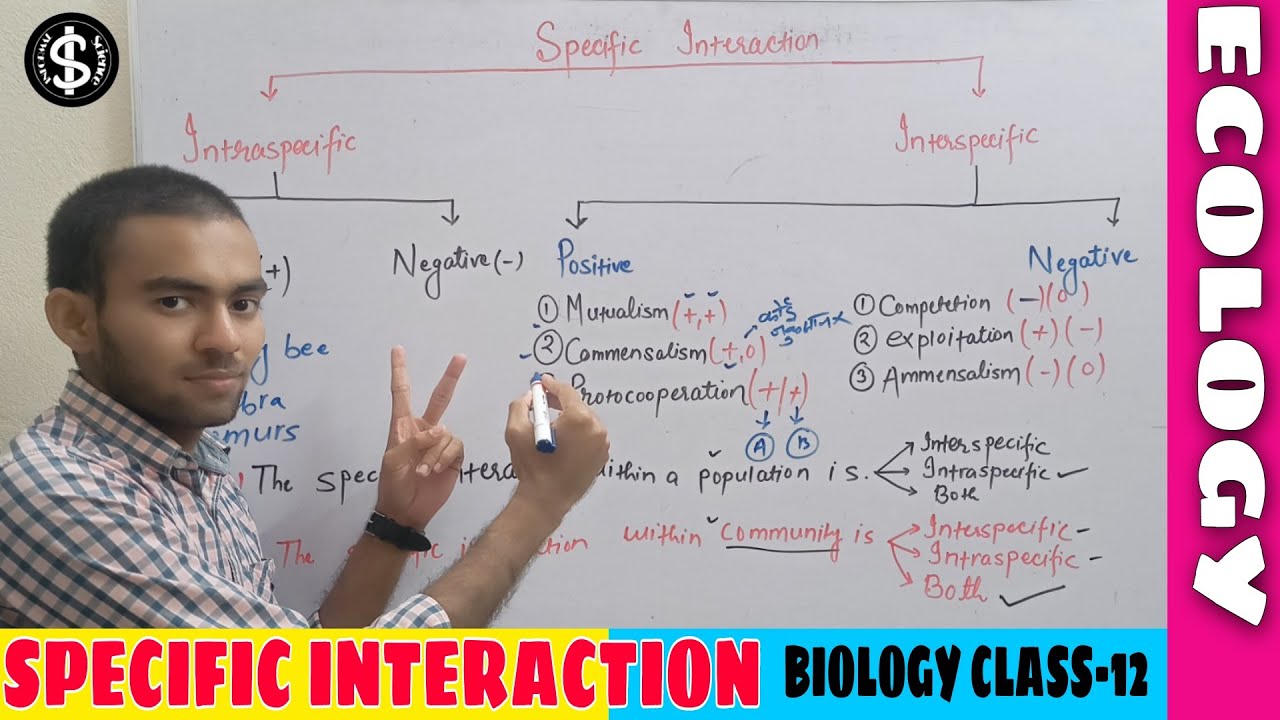 lect-3|specific interaction class 12 Biology|Interspecific and Intraspecific interactons in ecology|