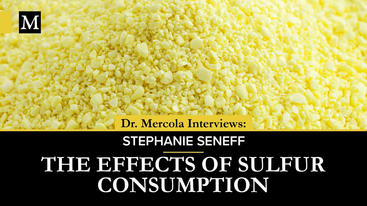 The Effects of Sulfur Consumption &ndash; Interview With Stephanie Seneff