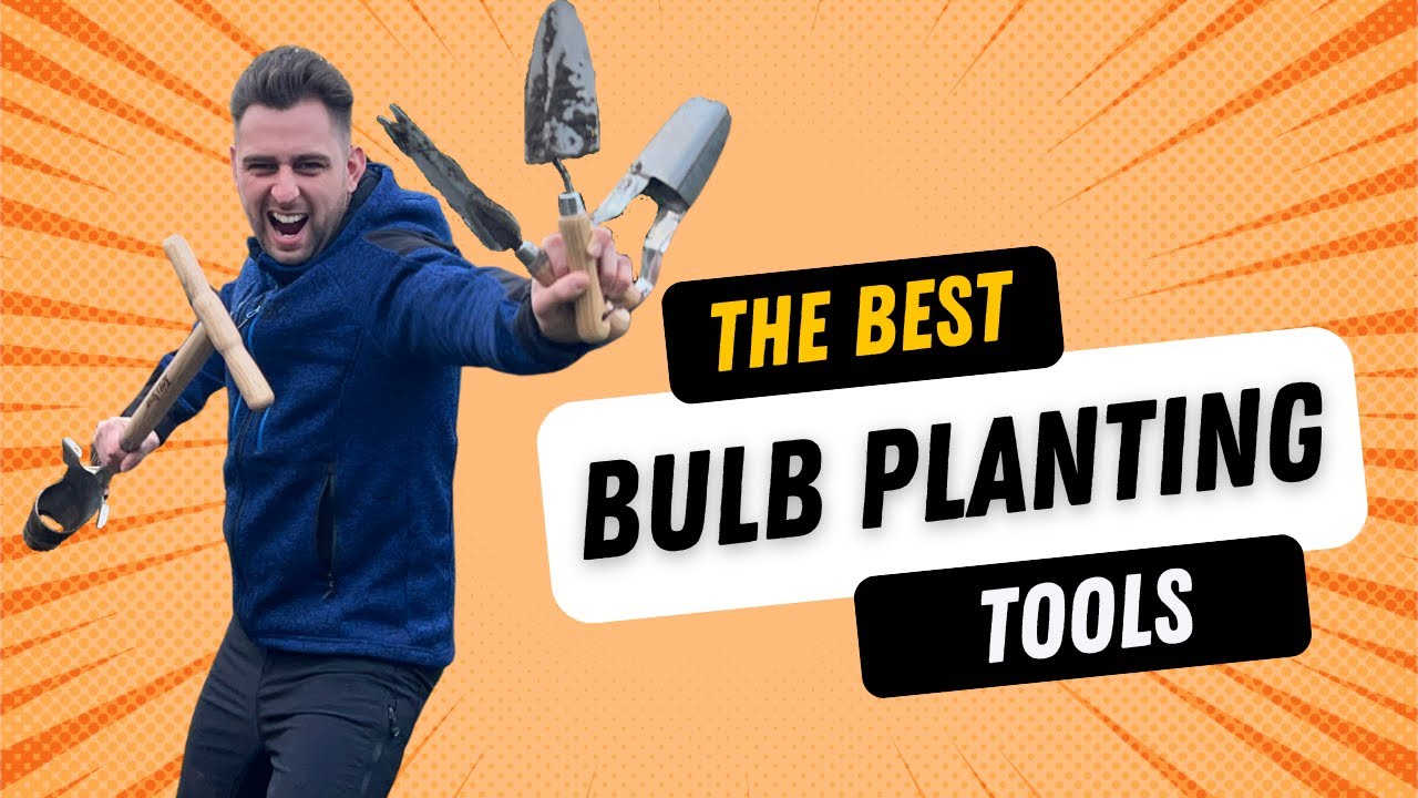 Best Tools for Bulb Planting