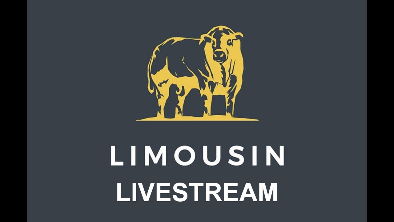 Limousin Sale of Bulls at Stirling 2.30 pm on Monday 6th May '24