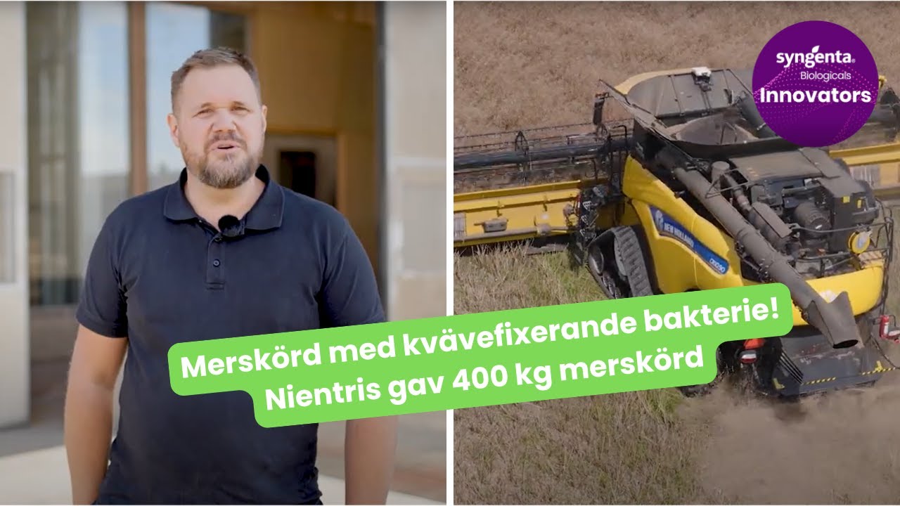 Resultat i rapsen på Russelbacka - Nientris gav 400 kg merskörd