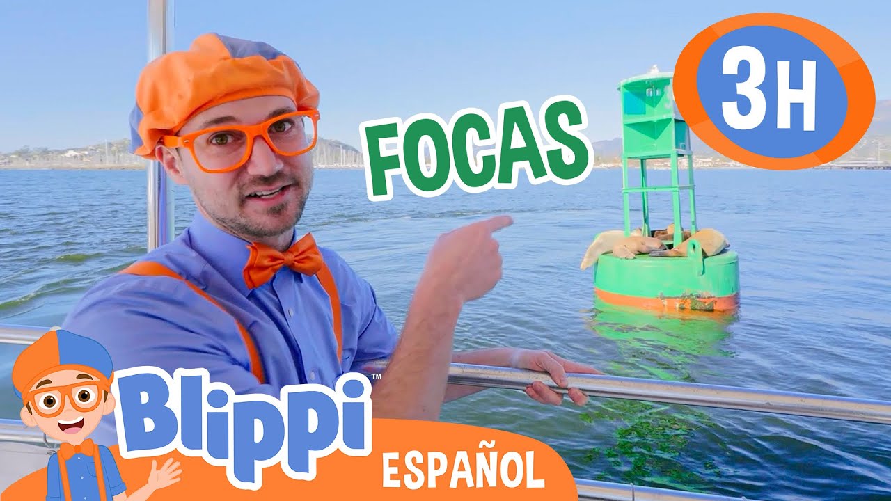 Blippi encuentra focas en el mar🦭🌊| Blippi Español | Videos educativos para niños |Aprende y Juega