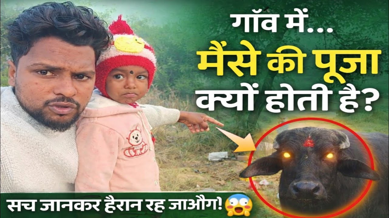 मेरा गांव में भैंसों की पूजा किया जाता है क्यों सच जान कर दंग हो जाएगा | kapil ki duniya 