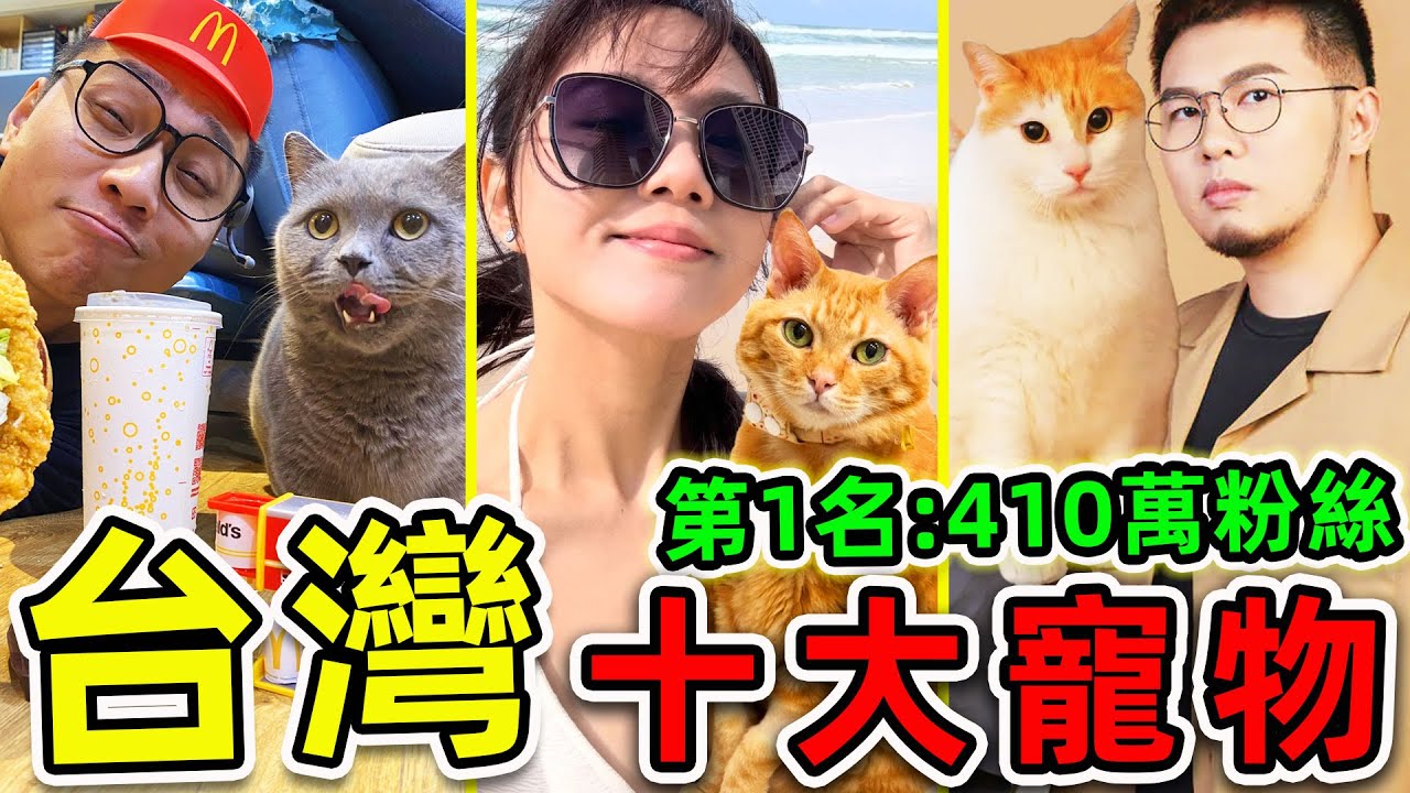 台灣“最受歡迎”的10大寵物！“鱷鄰居”竟然排第7，“倉鼠人”排名第2，第一名粉絲超410萬，堪稱“寵物皇帝”。|世界之最TOP