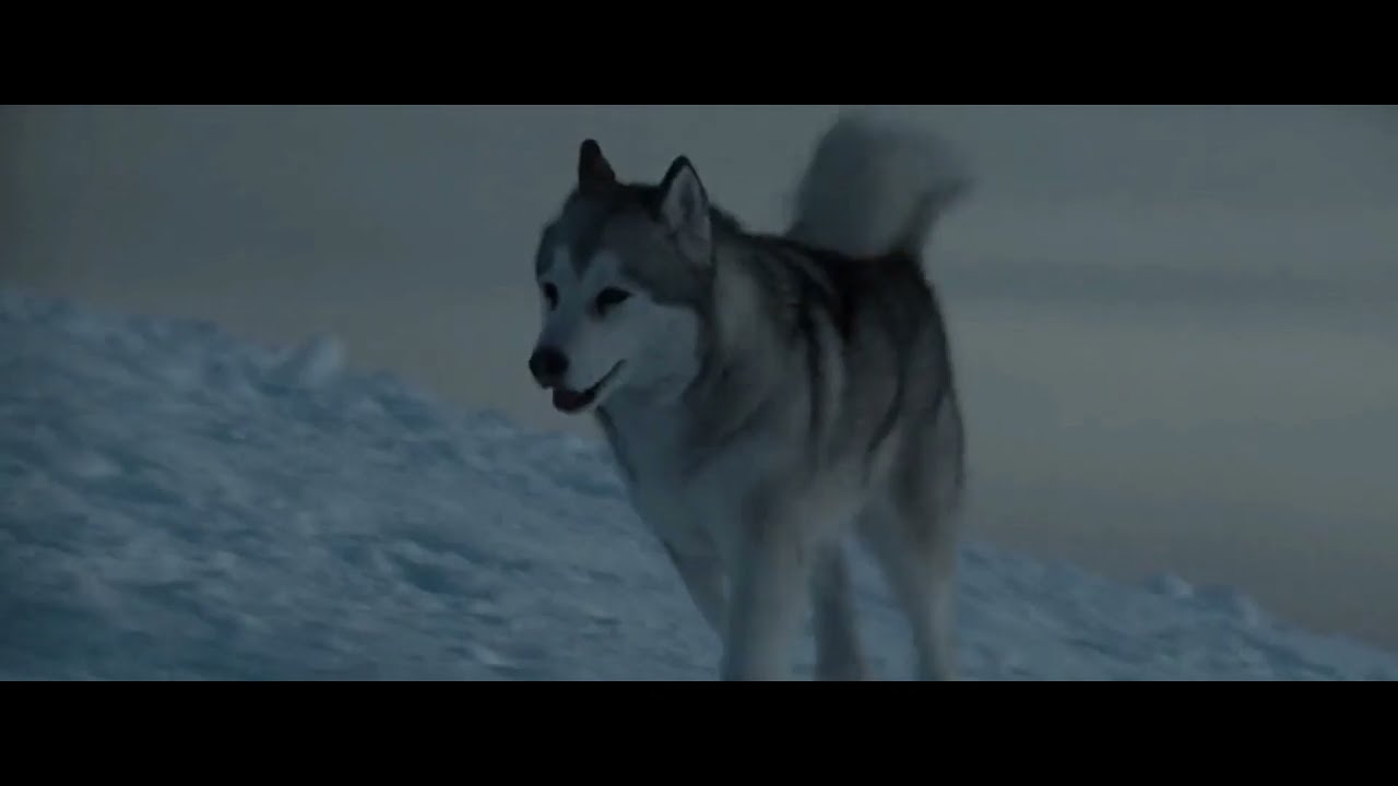 eight below (2006) - old jack's and dewey's death *sad*