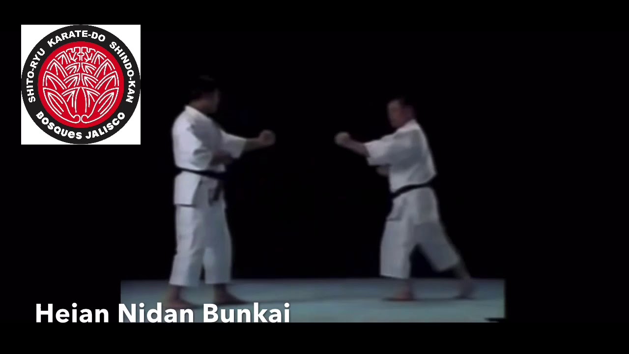 HEIAN NIDAN BUNKAI SHITO RYU