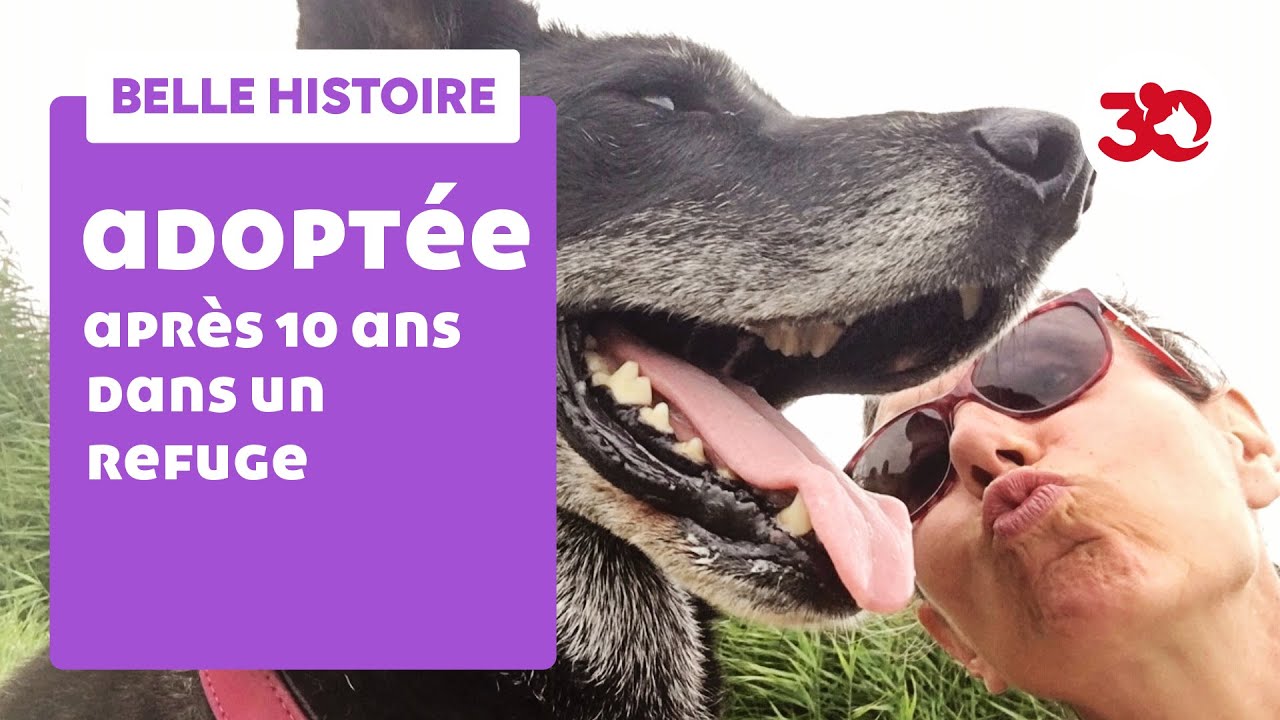 Après 10 ans de refuge, Clio est enfin adoptée