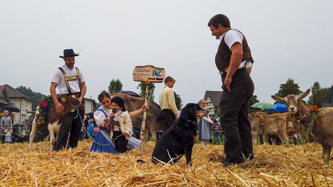 Cattle Show Bühler Switzerland | Young Breeders, Vintage Car Parade, Alpine Yodeling