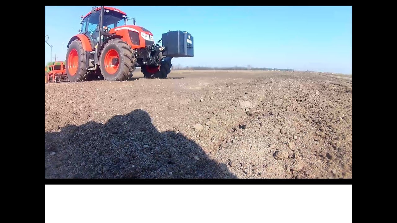 Nowy nabytek - ZETOR FORTERRA 130 HSX , Unia , Amazone - Siew facelii