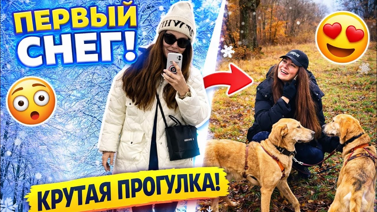 Первый снег и прогулки с собаками из приюта | VLOG