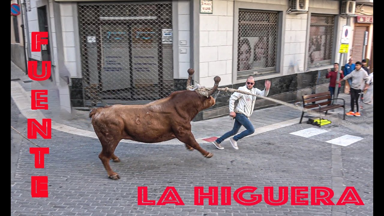 Fuente la higuera 2 Toros en cuerda 17-02-24