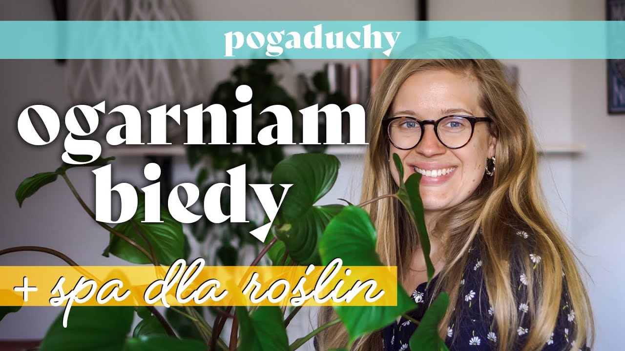 🏡 Przesadzam domowe bidy - jak zrobić roślinne spa? 💆