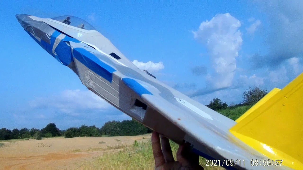 Hand Launching and Landing Freewing F 22 Raptor