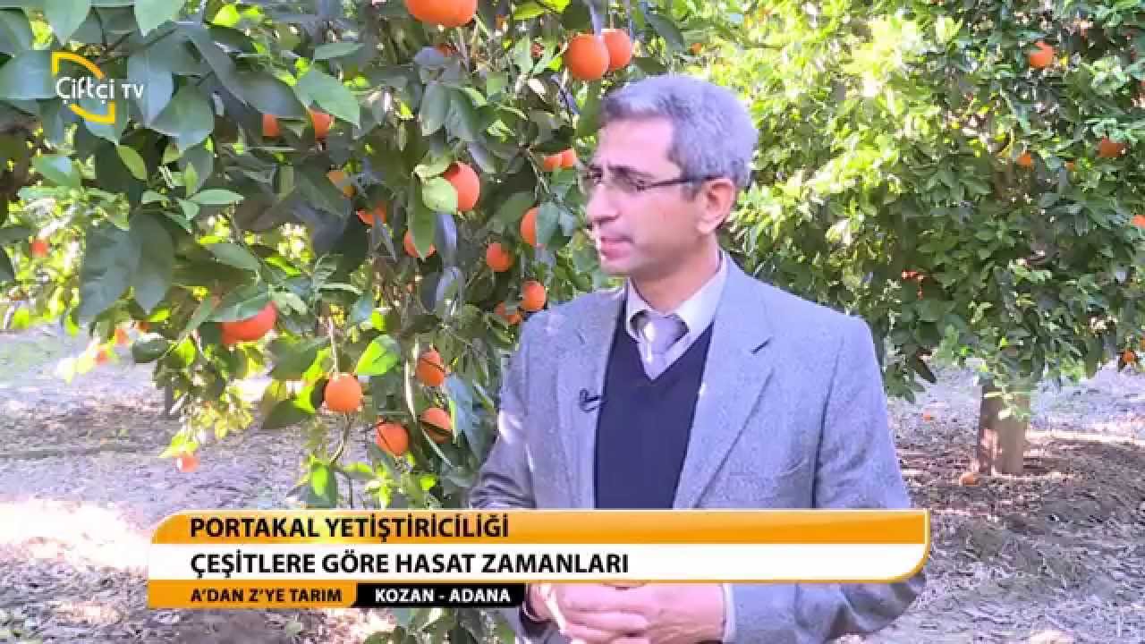 A'DAN Z'YE TARIM - PORTAKAL YETİŞTİRİCİLİĞİ