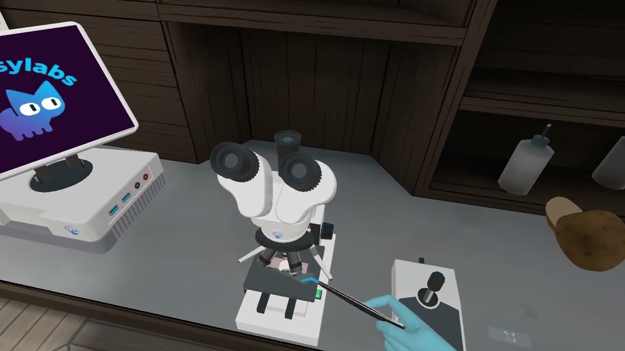 1 minute Labs: Potato and Onion cell microscopy experiment - Whimsylabs