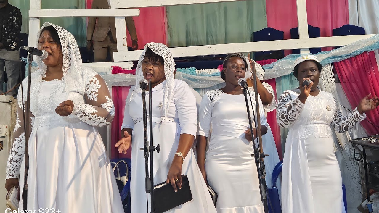 I B A C T A  está en vivo