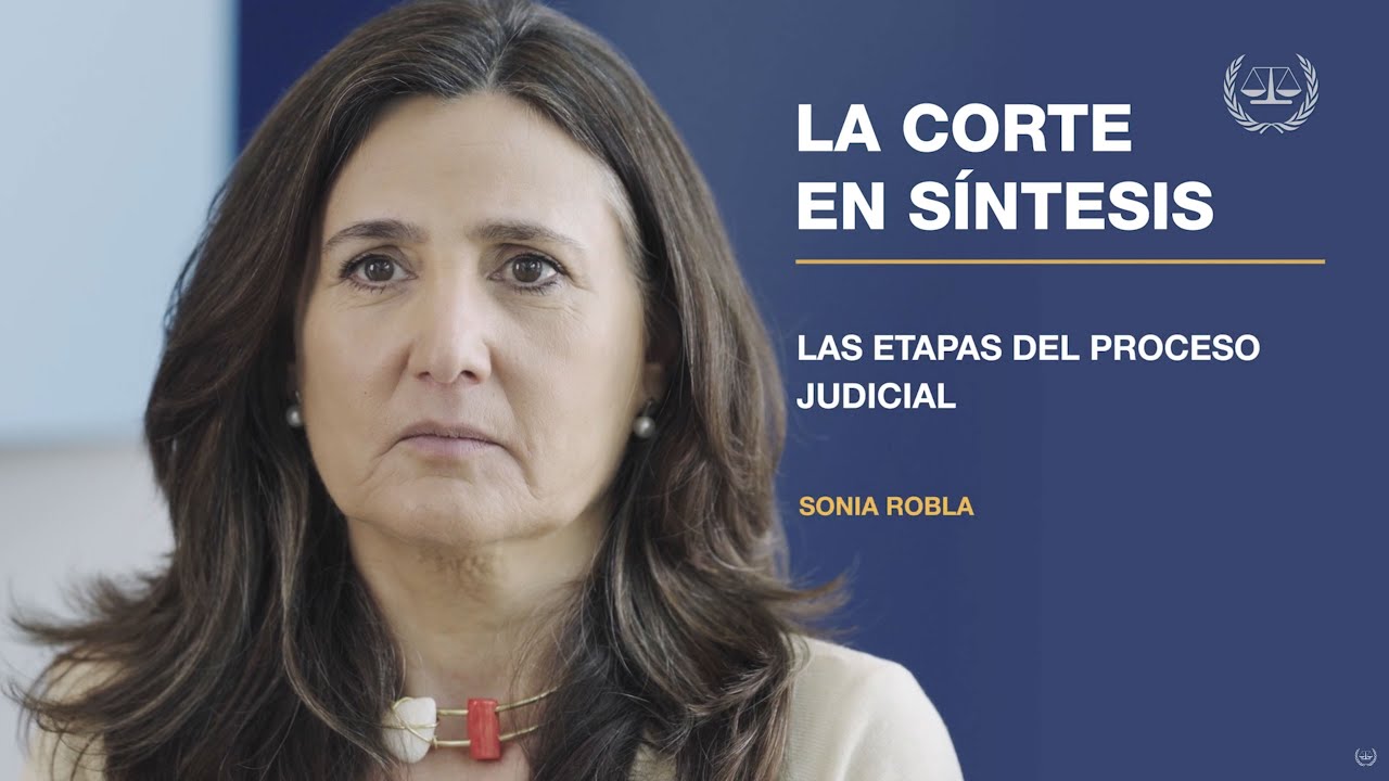 “La Corte en síntesis”: Etapas del proceso judicial