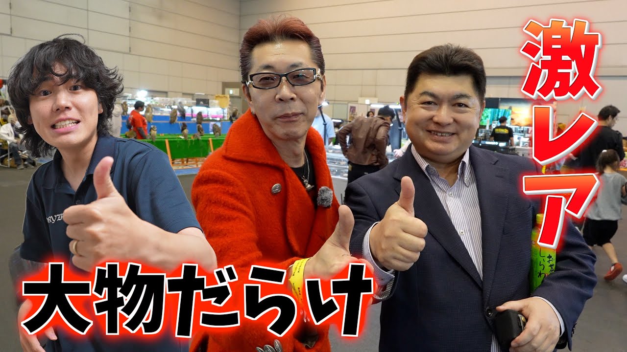 【日本最大級】爬虫類界の大御所が大集合！激レア＆高額個体だらけのJRS！
