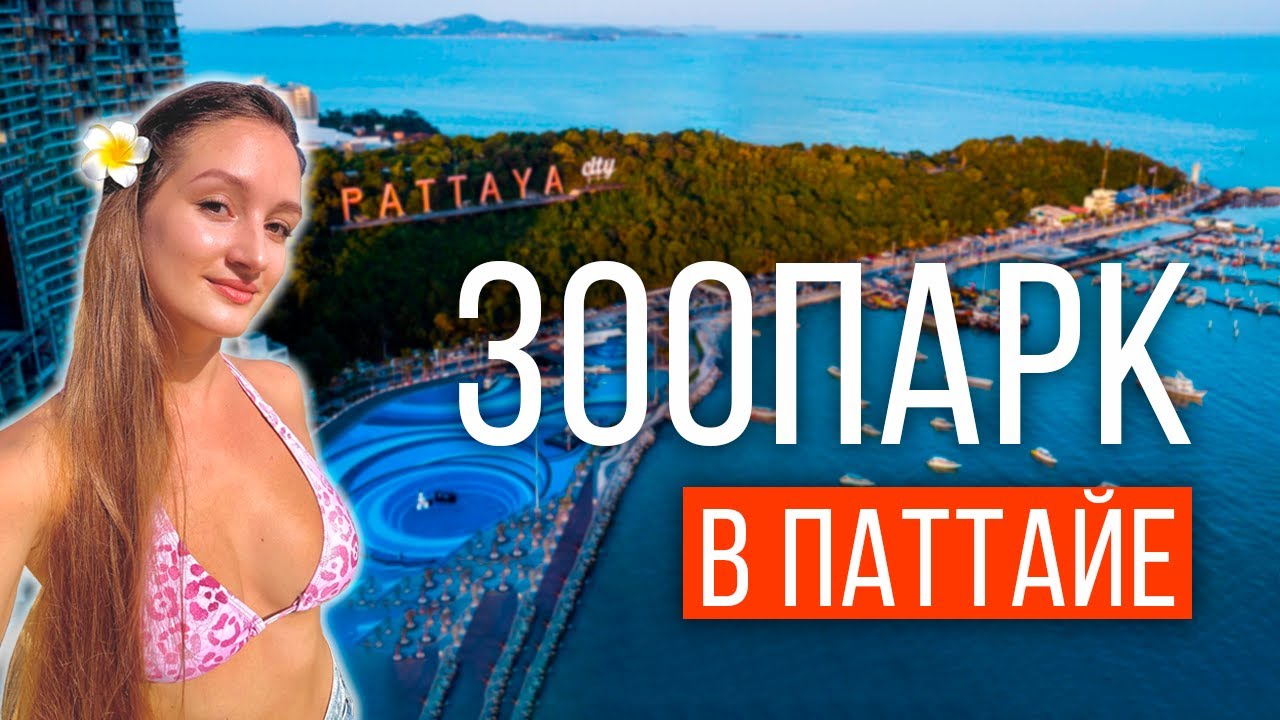 Открытый ЗООПАРК КХАО КХЕО В ПАТТАЙЕ &mdash; лучший в Таиланде! Впервые УВИДЕЛИ бегемотика МУУ ДЭНГ!