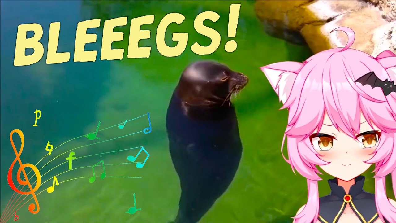 Nyanners watches seal videos for 8:59 minutes