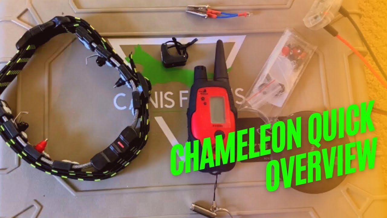 QUICK Chameleon overview. Martin System