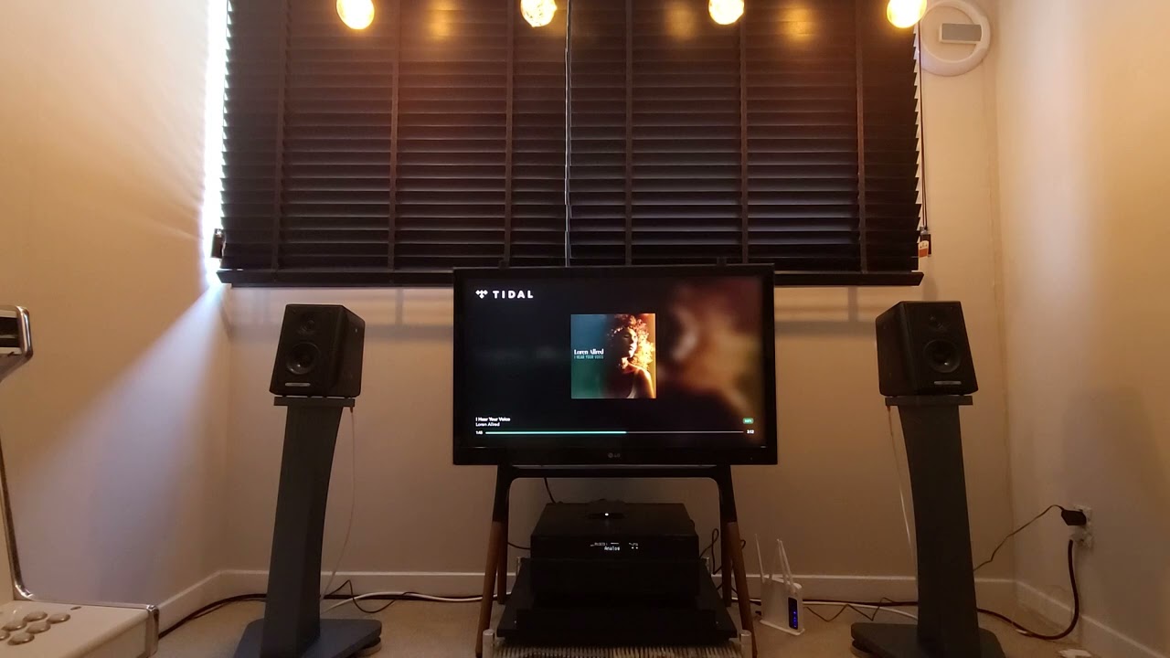 sonus faber toy - I hear your voice