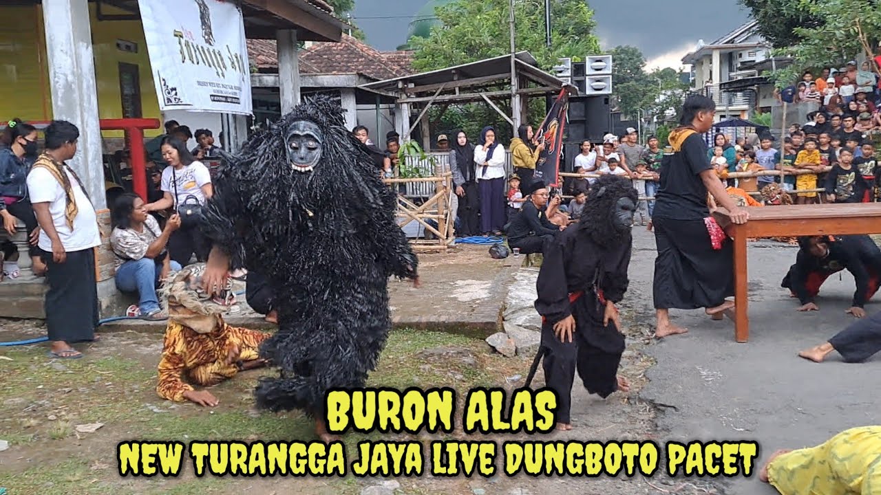 BURON ALAS ‼️ NEW TURANGGA JAYA LIVE DUNGBOTO PACET MOJOKERTO