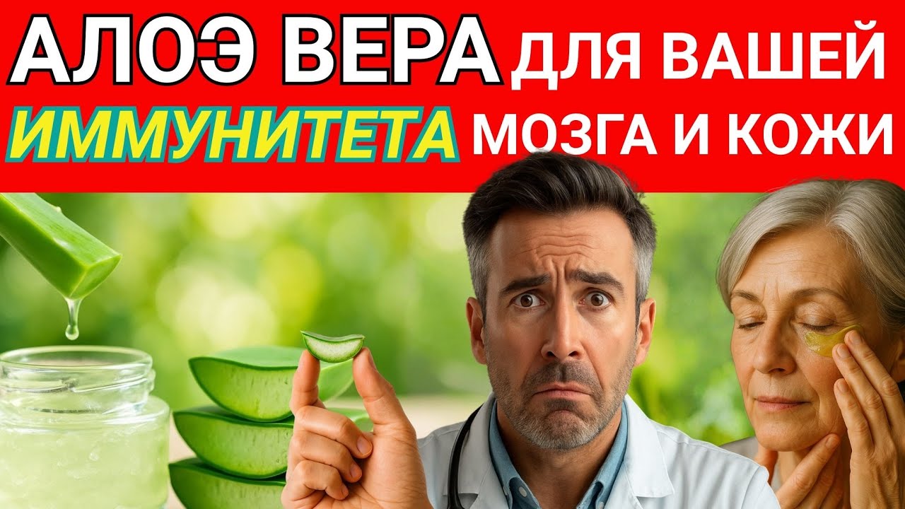 Секретное оружие алоэ вера для кожи, пищеварения и уровня сахара в крови и что на самом деле вас раз
