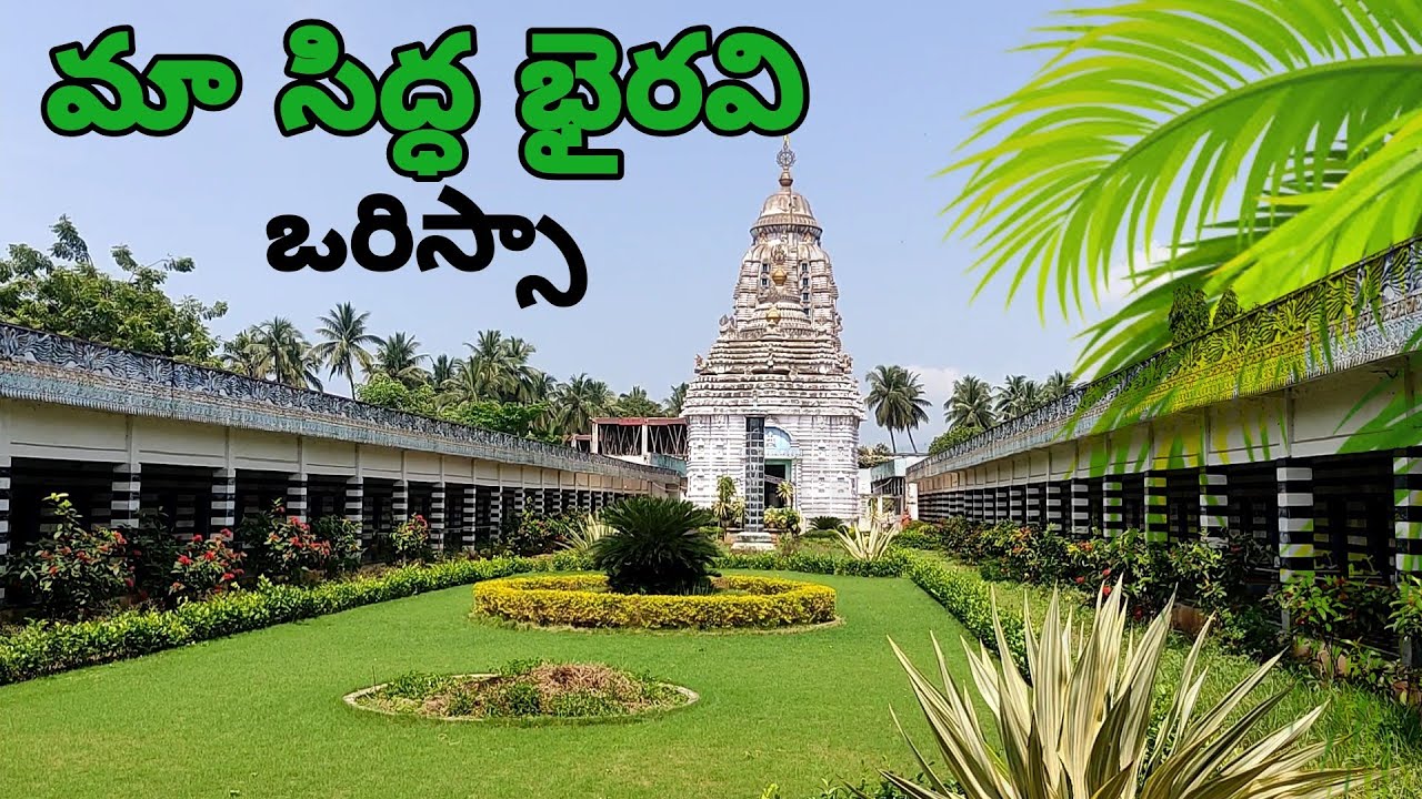 Maa Sidda Bhairavi temple #odisha #temple #srikakulam #vlogs