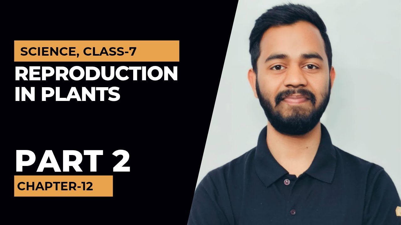 Reproduction in Plants, Part 2. Science, Class 7, Chapter 12. #reproductioninplants