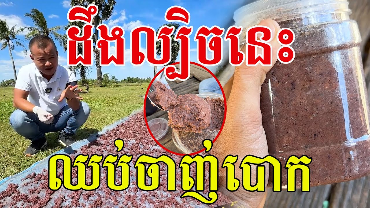 ដឹងក្បួនហើយ បើឃើញបែបនេះបានសុទ្ធ ឈ្ងុយល្អមែន