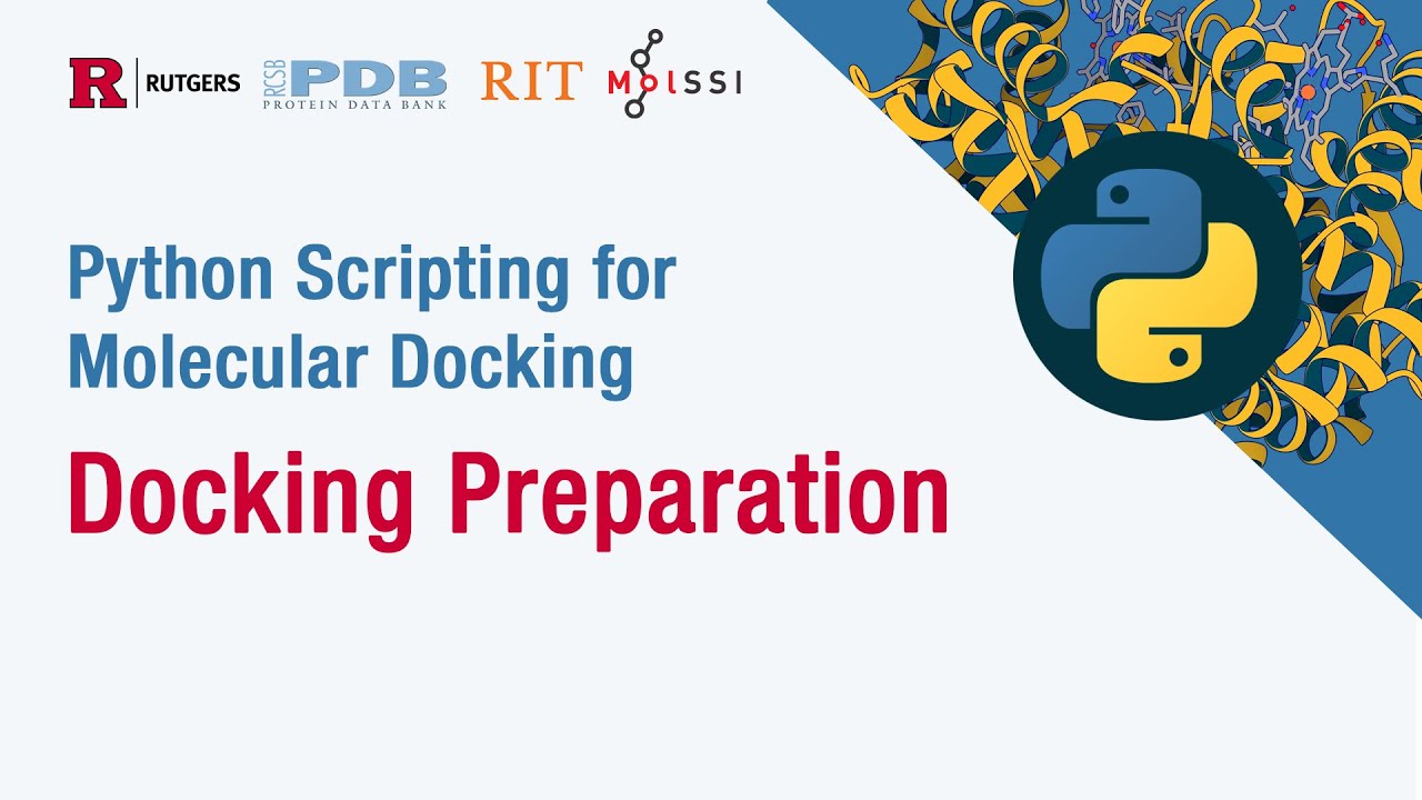 Python Scripting for Molecular Docking: Docking Preparation
