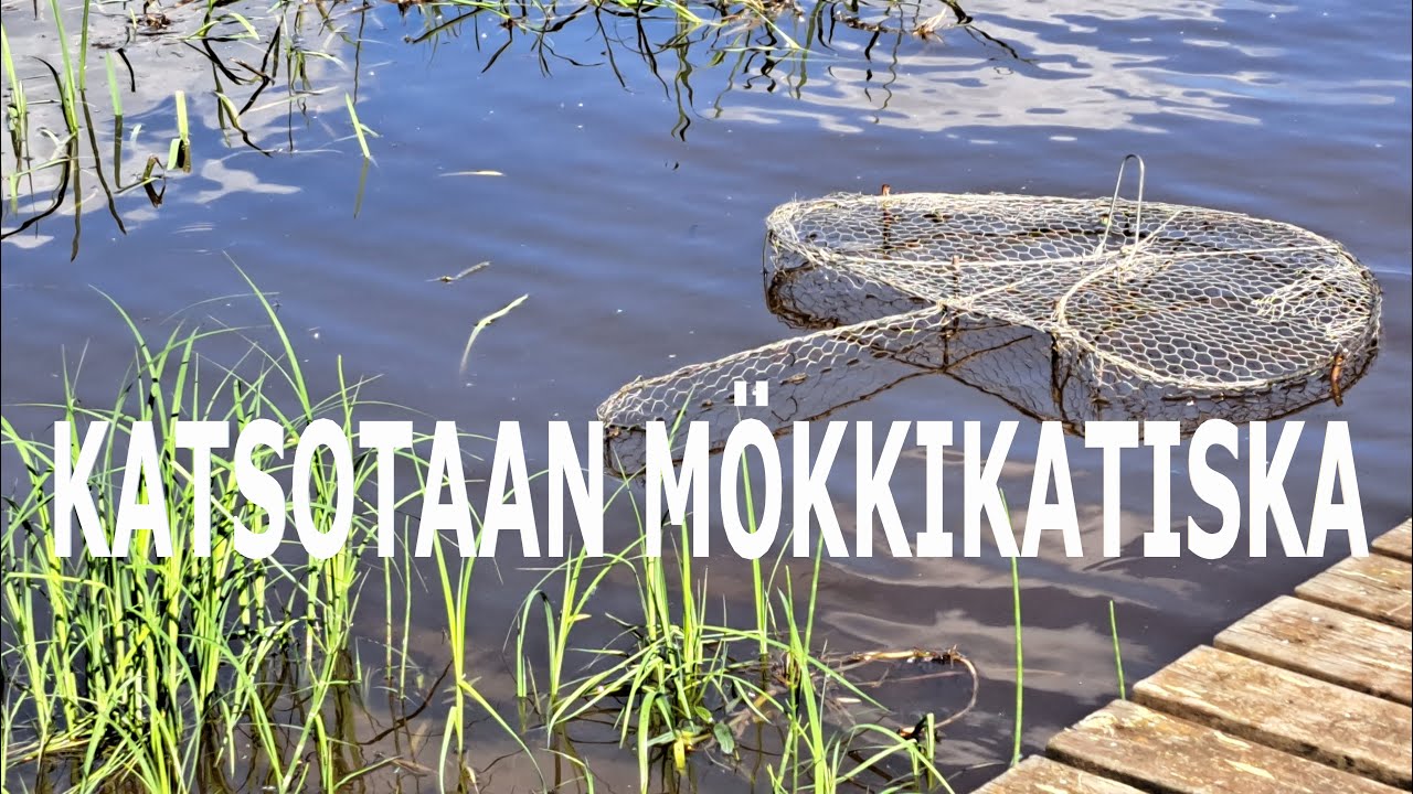 MÖKKIKATISKAN KOKEMINEN