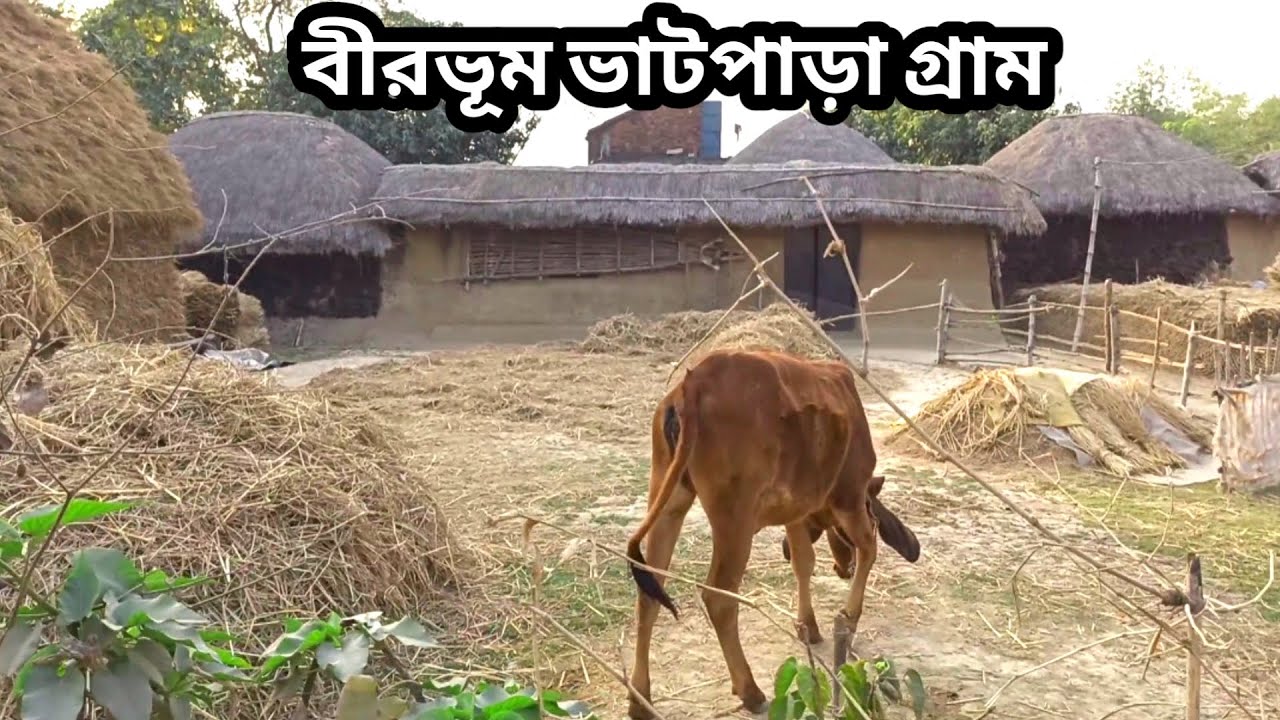 Birbhum Bhatpara | Bhatpara Village Birbhum | Village Life in Birbhum | Chatra| Tarapith Tour Part 4
