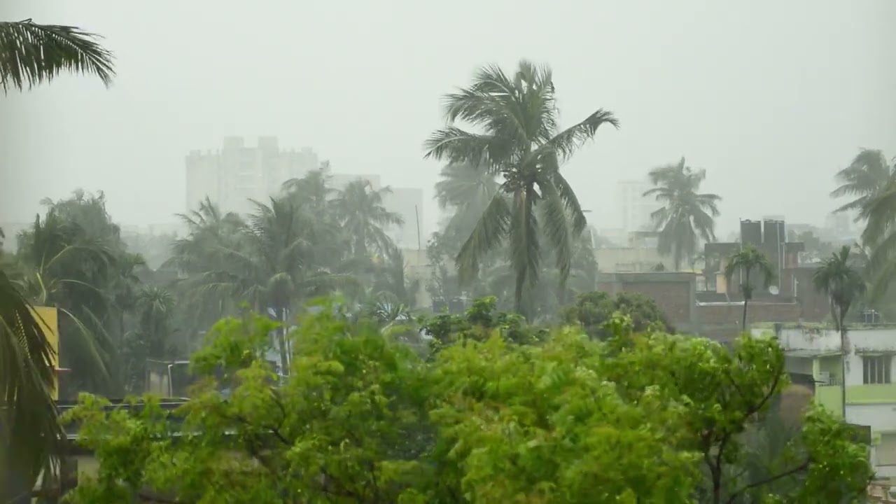 Typhoon, ASMR, soothing, comfort, sound, sleep, white noise, nature, nature's sound, greatness