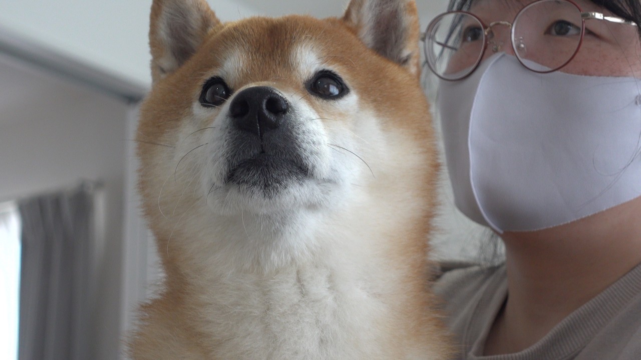 実家に行ったら大変なことになってました。