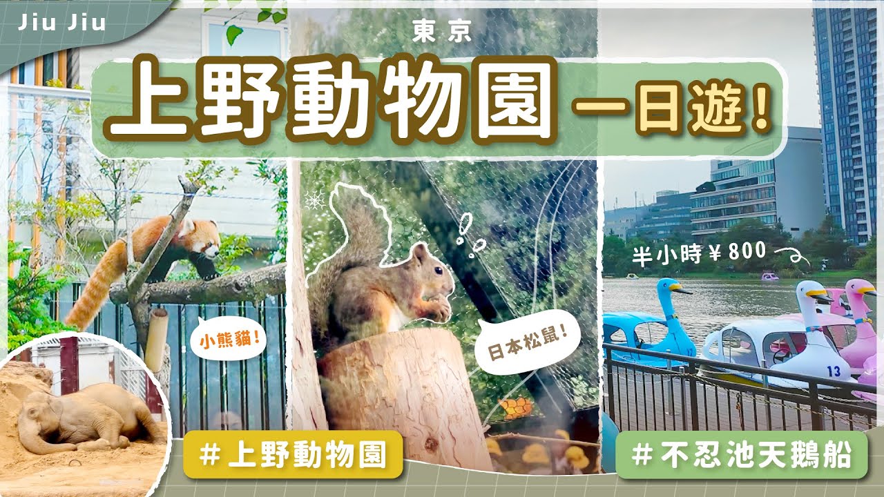 【上野動物園一日遊行程🐿🐘｜原來看熊貓平日也要排隊40分鐘🐼⁉️｜不忍池踩天鵝船🦢🚣｜東京旅遊】by. Jiu Jiu