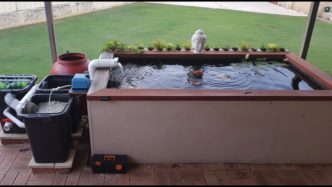 My Koi pond and filter setup