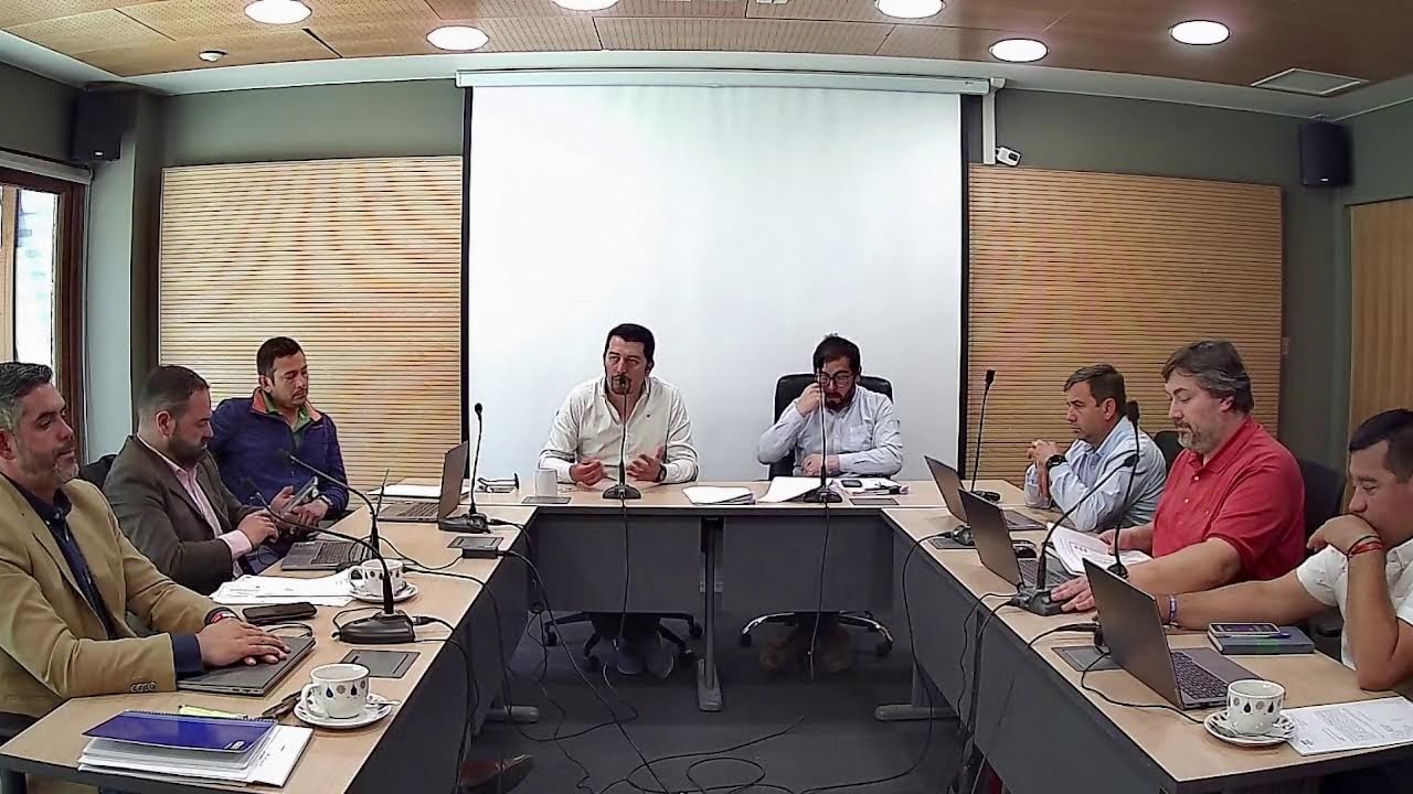 Concejo Municipal 25/11/2025