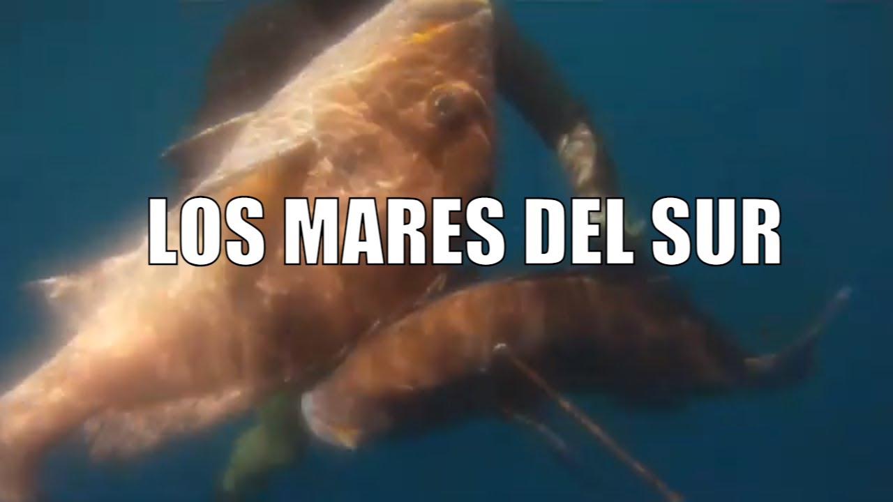 Pesca submarina   ENTRE LOS MARES DEL SUR