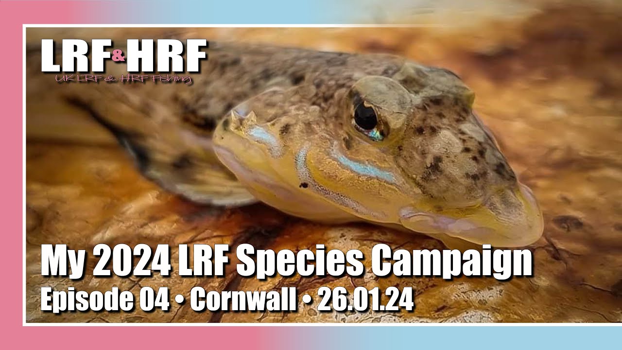 Episode 04: My 2024 LRF Species Hunt - Cornwall