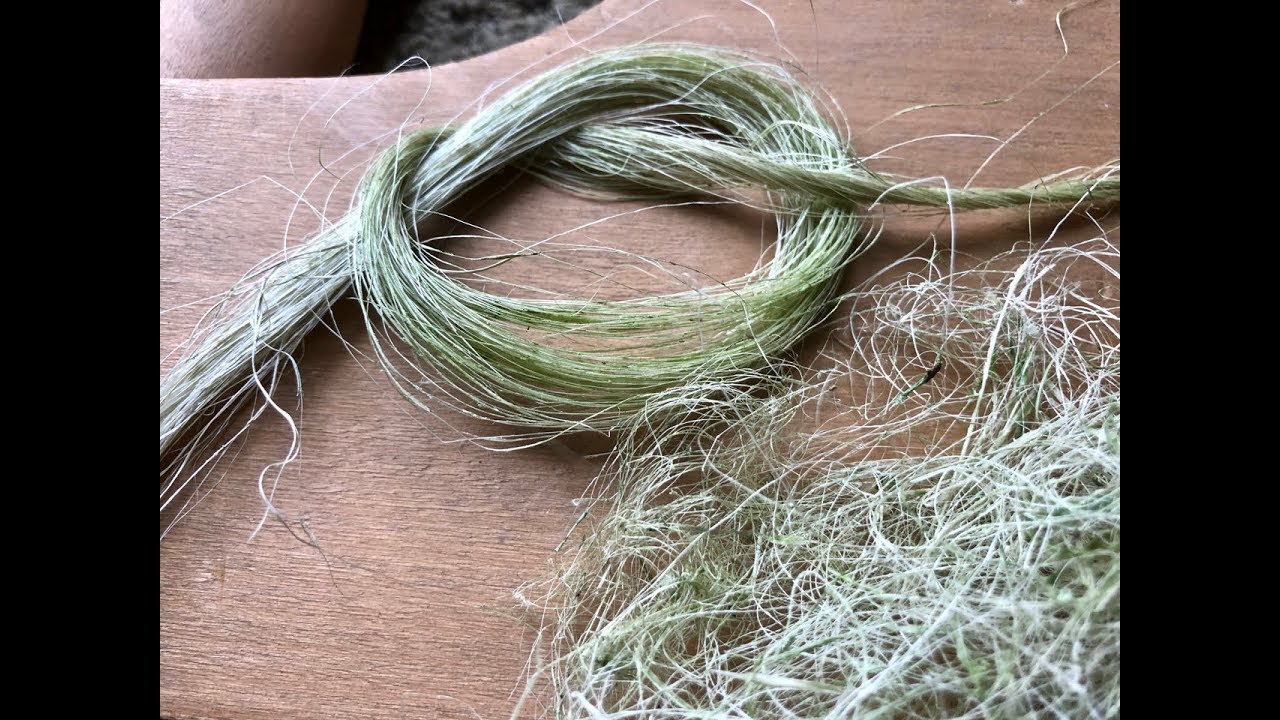 Yucca Fiber Processing