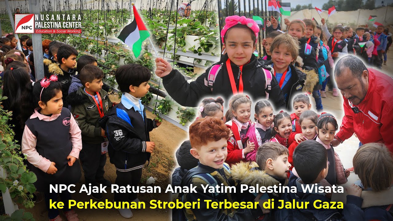 NPC BAWA RATUSAN YATIM PALESTINA TAMASYA KE PERKEBUNAN STROBERI TERBESAR