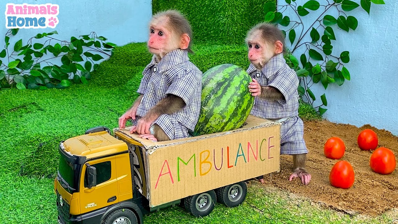 Farmer BiBi picks fruit to make juice