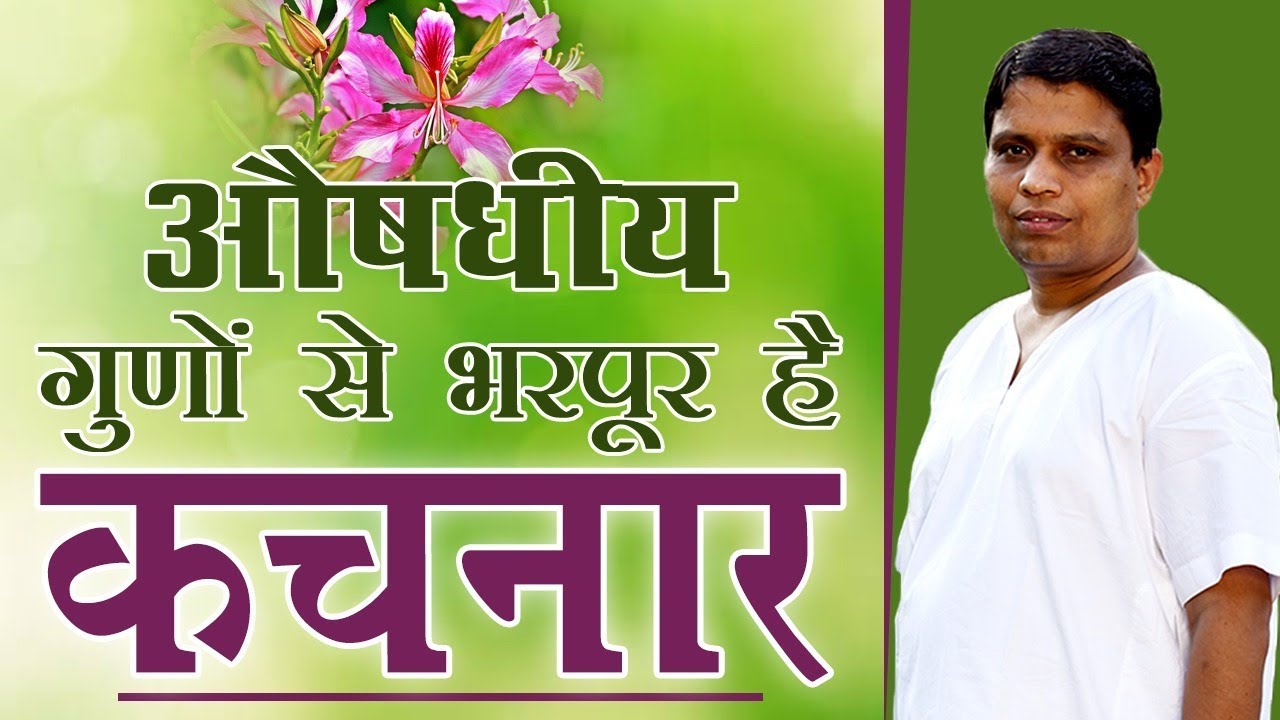 औषधीय गुणों से भरपूर है कचनार | Acharya Balkrishna