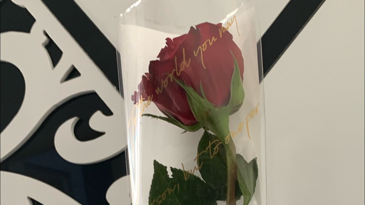 اهلا بالغاليين هههه غياب طويل وتقديم اعتذار لكل من سألت عني❤️🙏