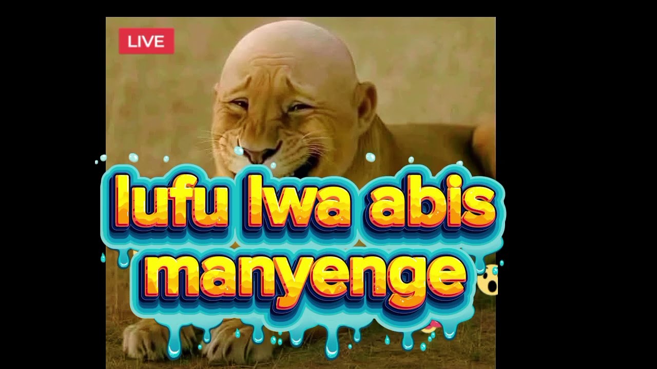 TJM by lufu lwa abis manyenge