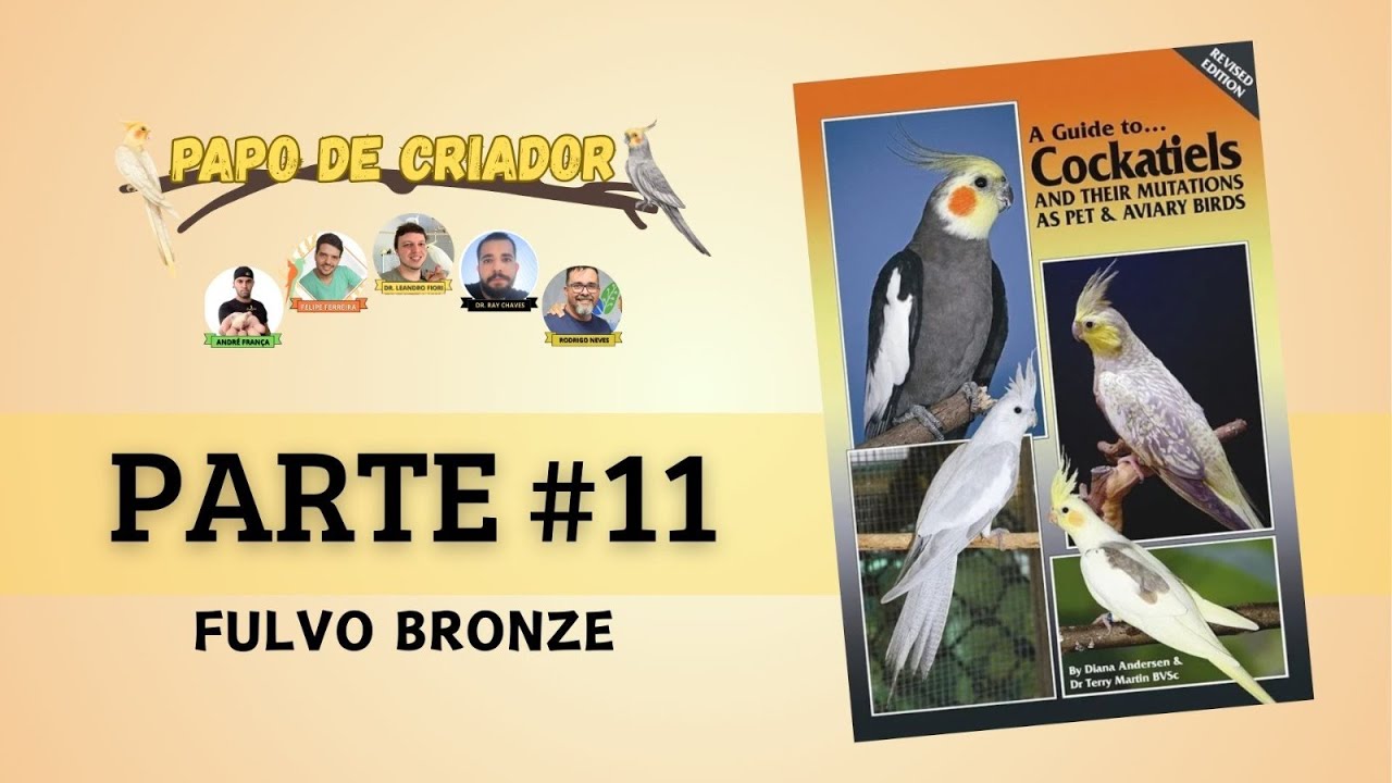 PAPO DE CRIADOR - ESTUDO DO LIVRO 
