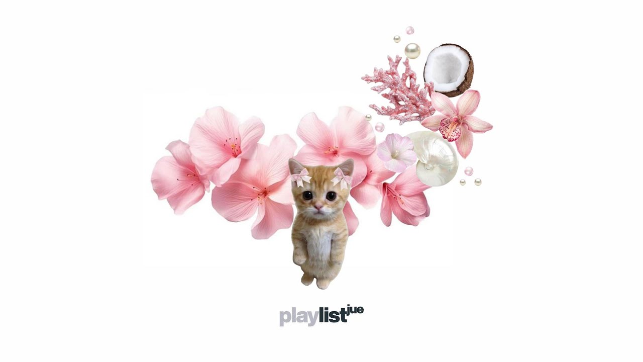 Playlist |  My love script was eaten by a cat