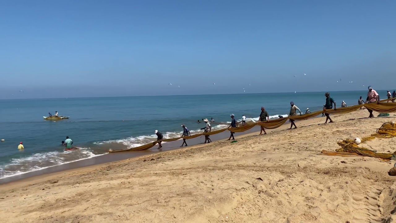 Udappu fishing #udappu #karawalai #meen pidithal